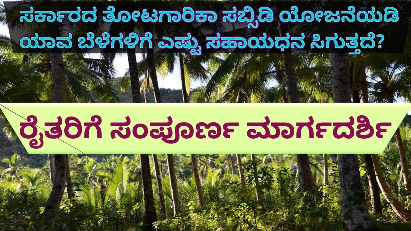 Government Subsidy for Horticulture Crops